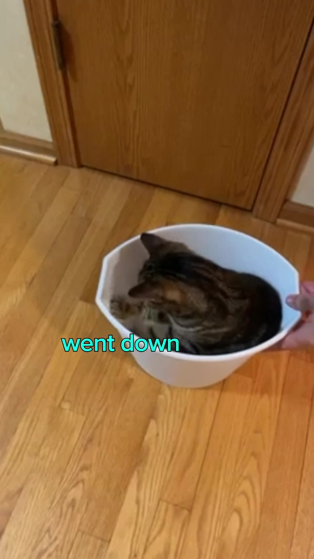 @Rufus Goodboy