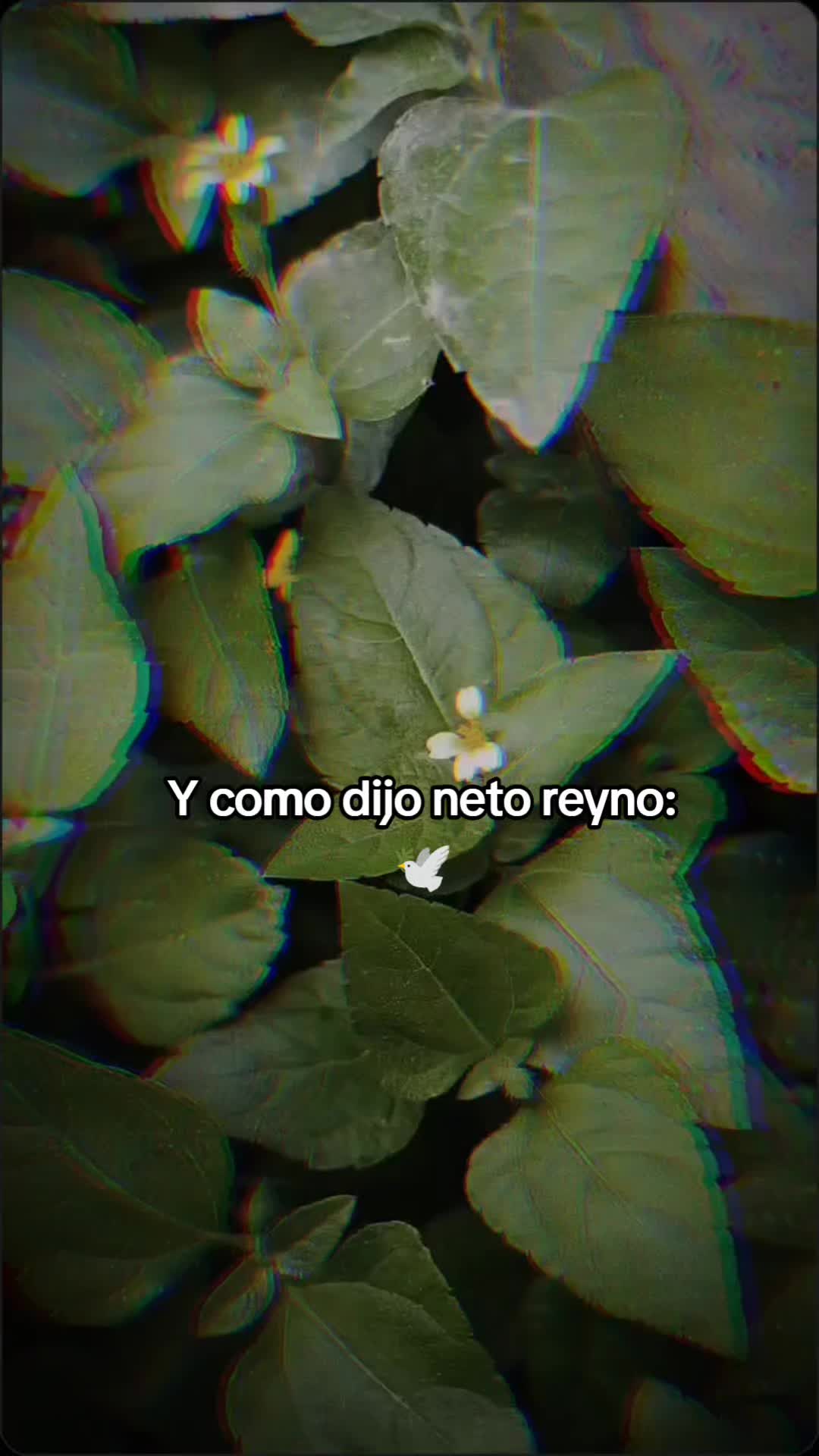 @𝕰𝖘𝖙𝖍𝖊𝖗𝖘𝖎𝖙𝖆🍒