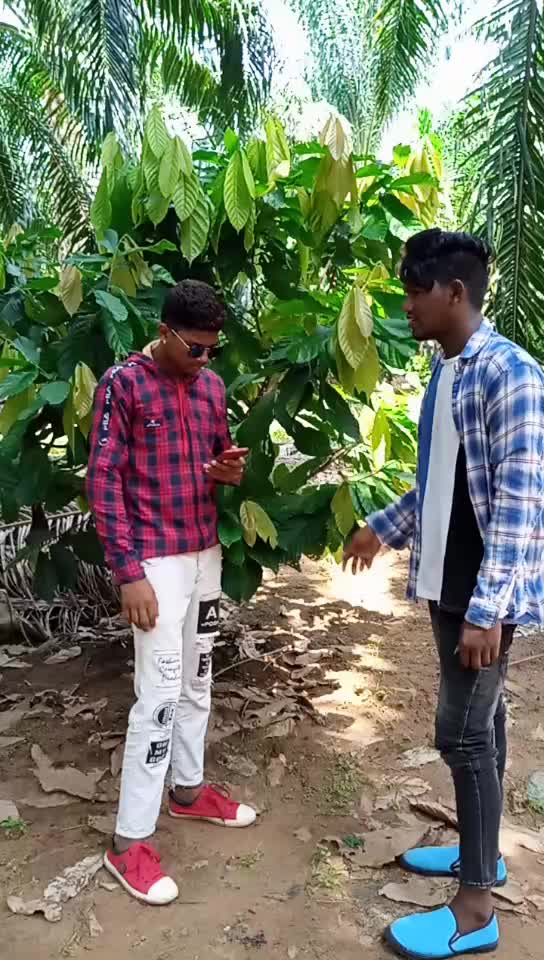 @user7725882975576