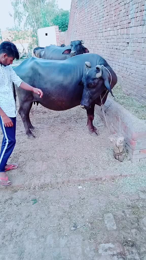 @AKKI_007