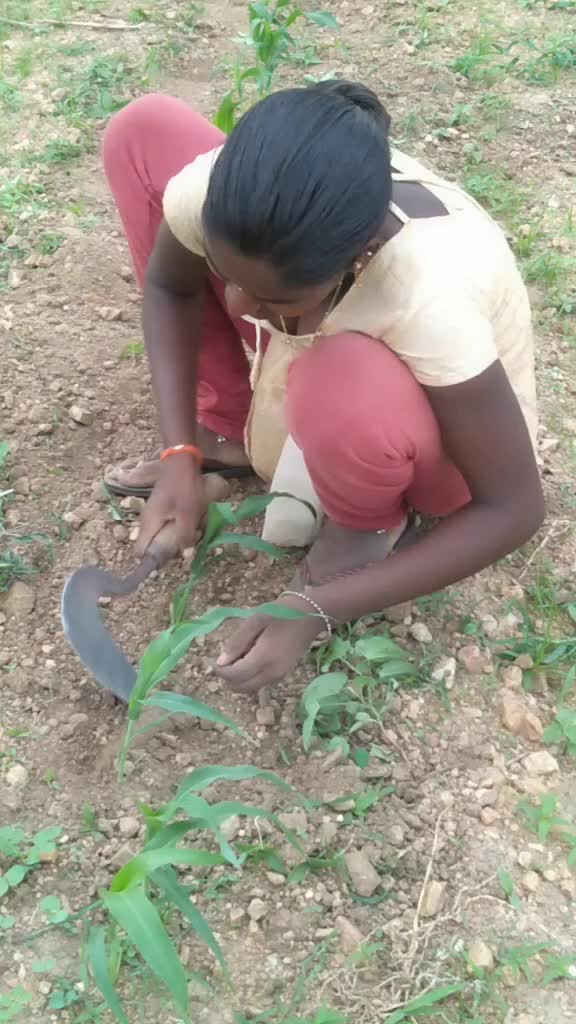 @Badugula Karthik