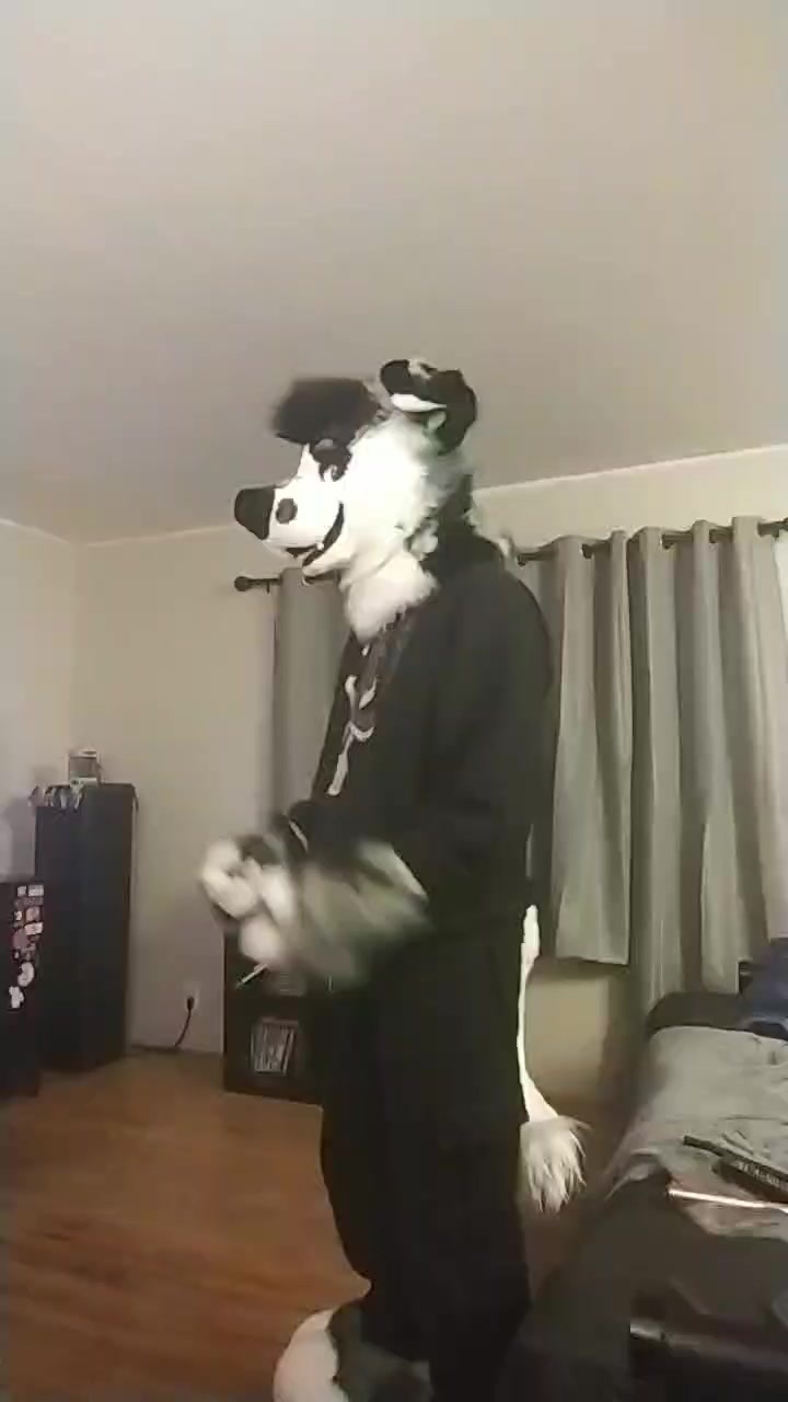 @Ryker_Mutt