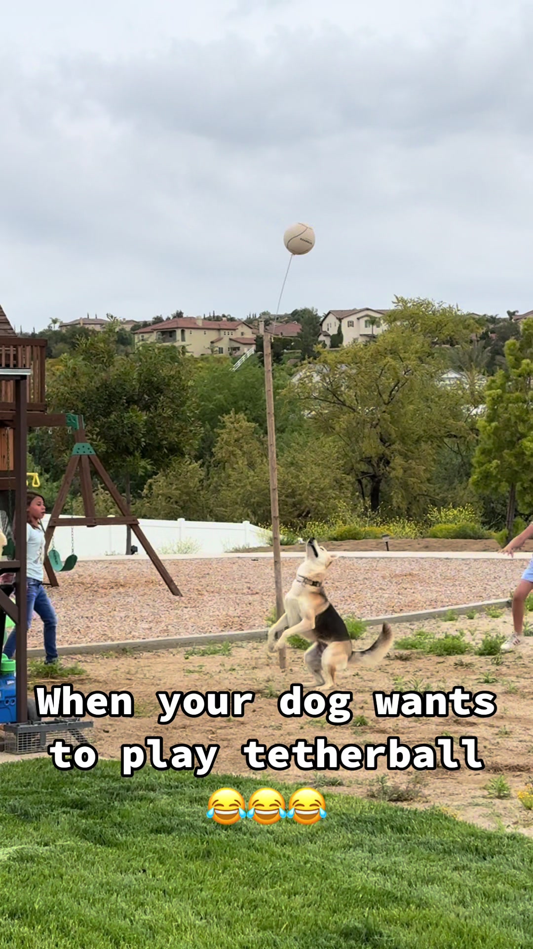 @boyanddogmommy