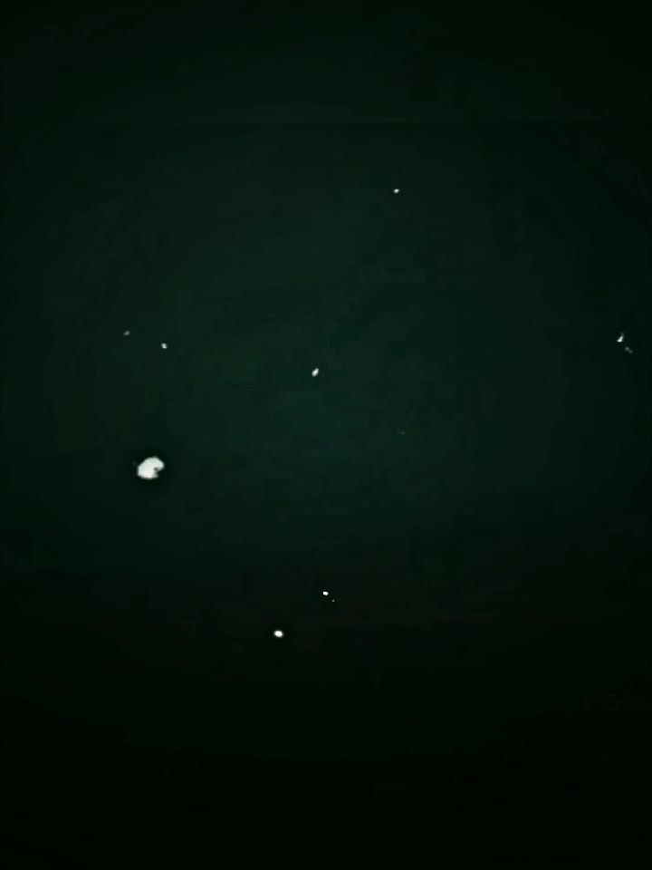 @𝑲𝑰𝑵𝑮 𝑭𝑼𝑵𝑲 𝑩𝑹𝑨𝒁𝑰𝑳
