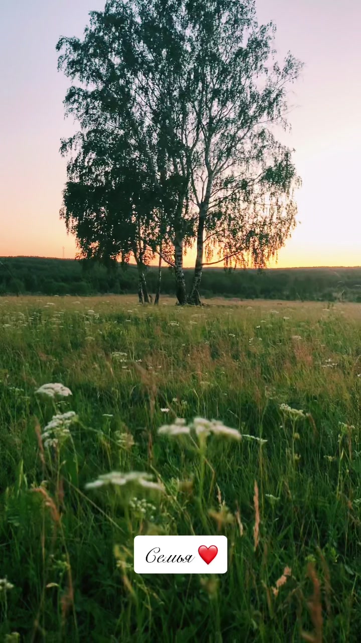 @PILOSOVA