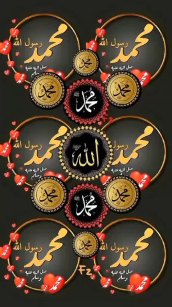 @user20831596725