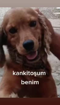 @Sensiz olmuyor