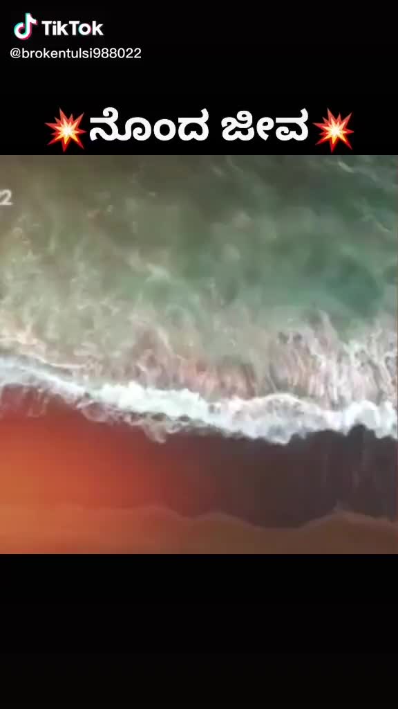 @user960115