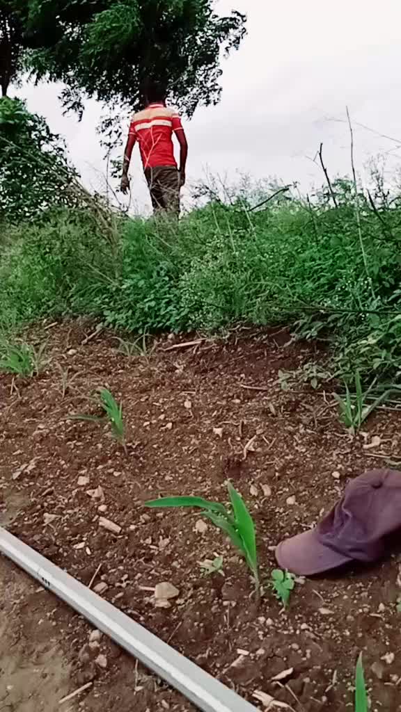 @ಪ್ರವೀಣ್ ಶಿಕಾರಿಪುರ