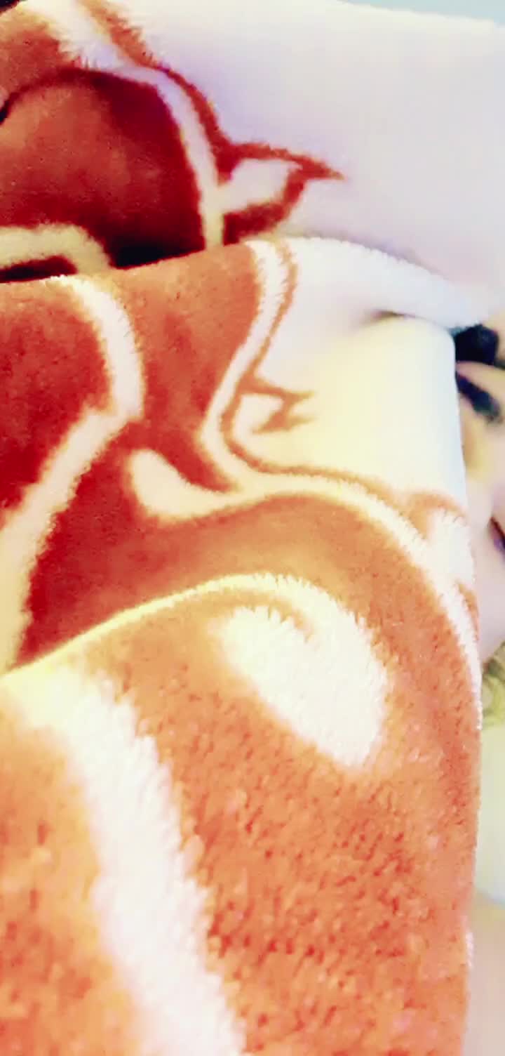 @sevi_sangatpuriya1