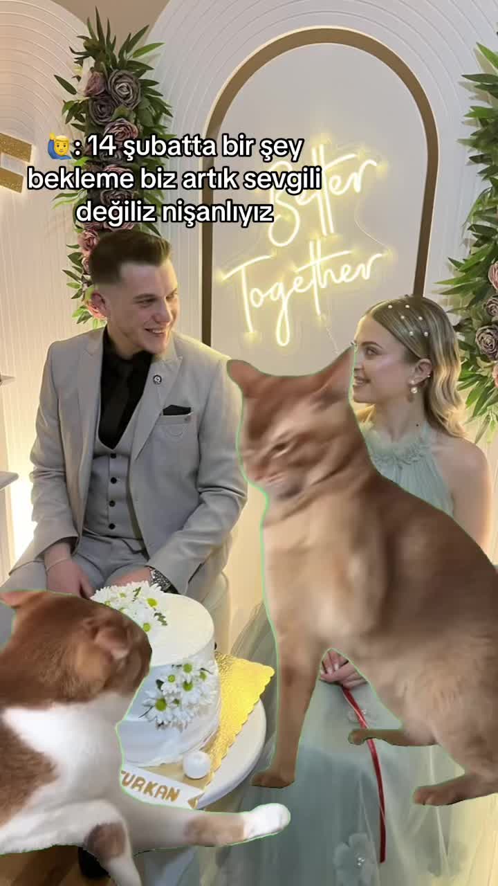 @Fulgee