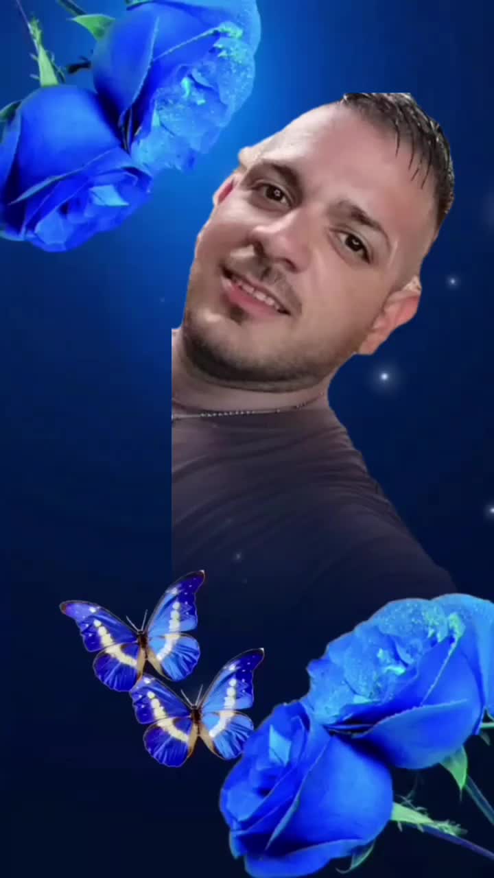 @silvanarizza688
