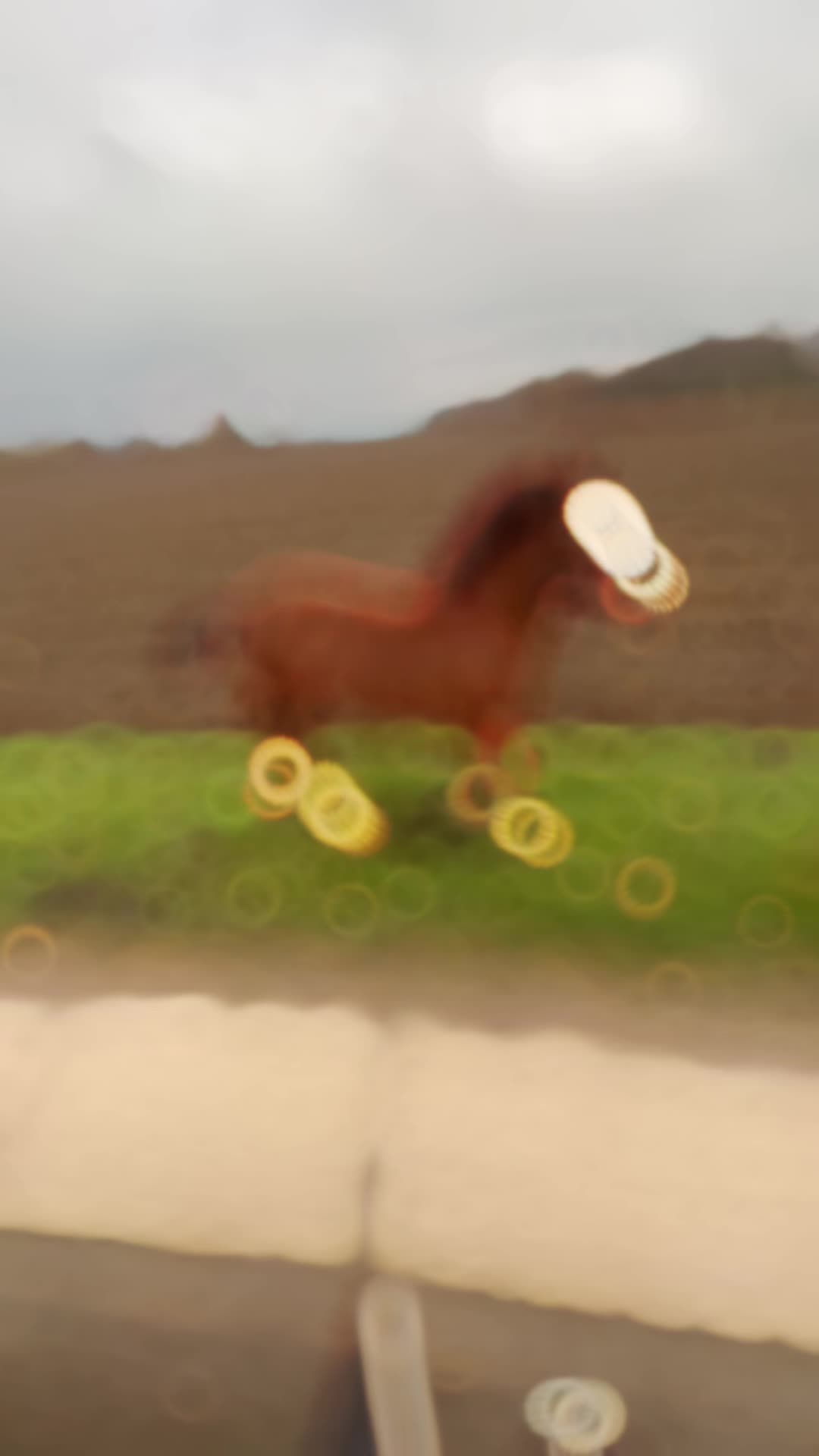 @Jule Ha