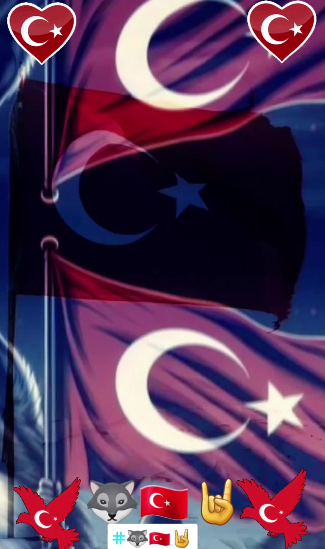 @🐺🇹🇷🤘BOZKURT ASENA🐺🇹🇷🤘