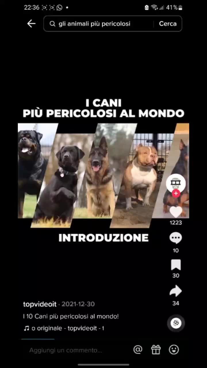 @francescabencivenga