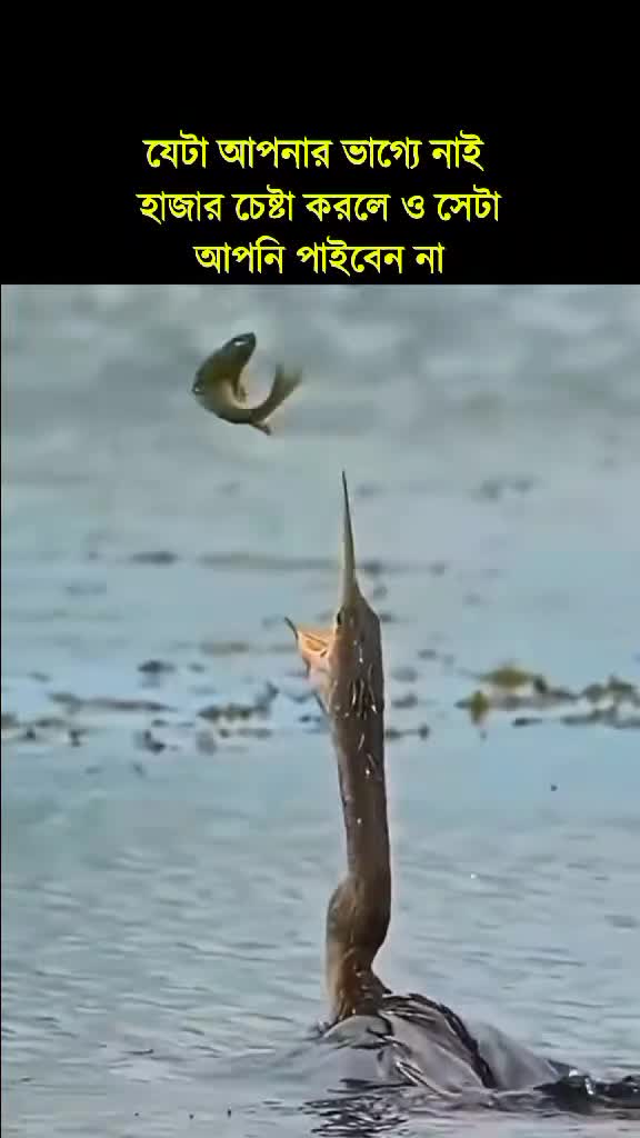@đĨđĨ āϤā§āĻŽāĻŋ āĻāϰ āĻāĻŽāĻŋ 06 đĨđĨ