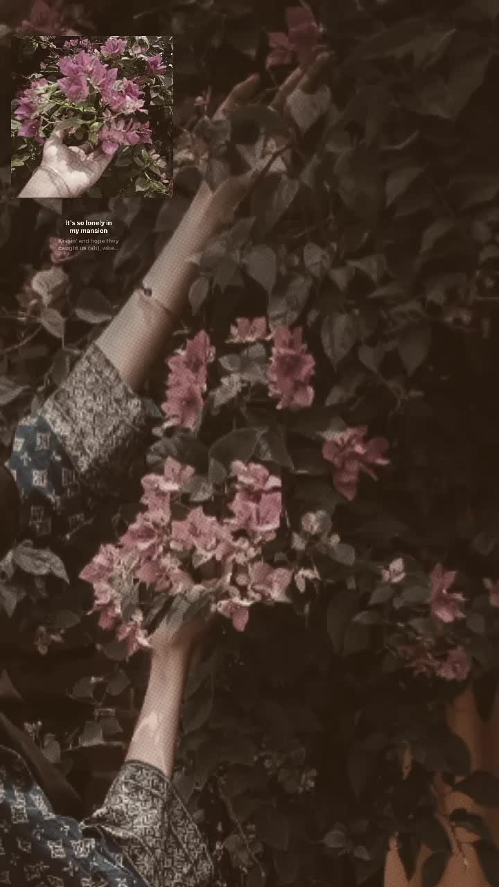 @𝗌𝗍𝗋&alpha;&omega;ᑲ𝖾𝗋𝗋𝗒🍓✨