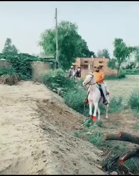 @Samir_Malek