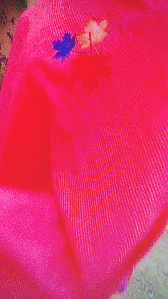 @Bhagwant kaur 🖤