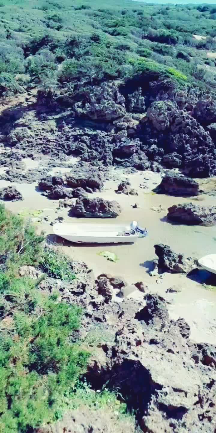 @المتمرد
