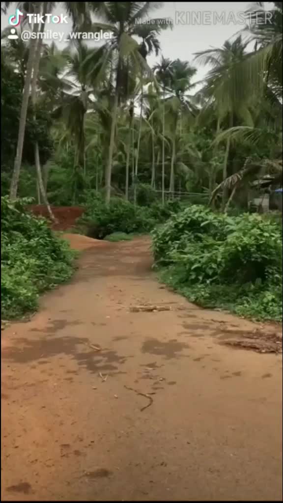 @vandipranthan