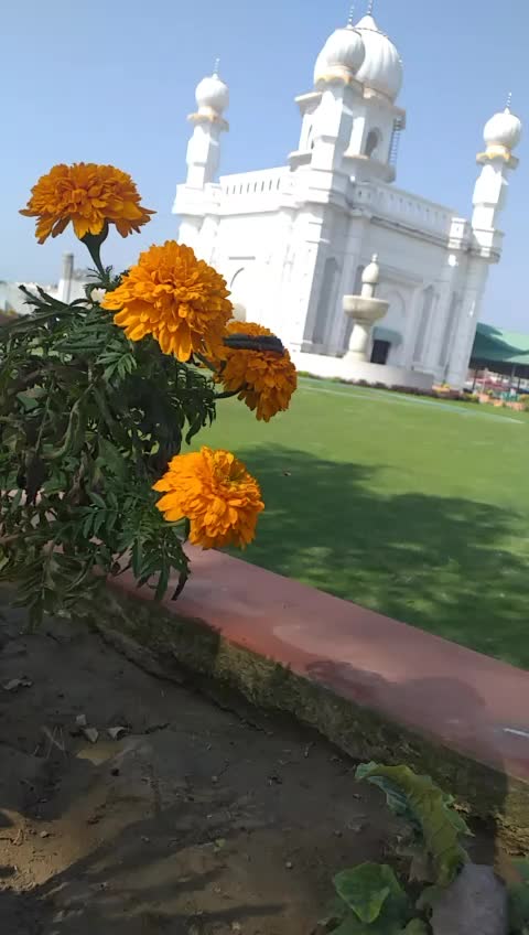@pandat_1275_