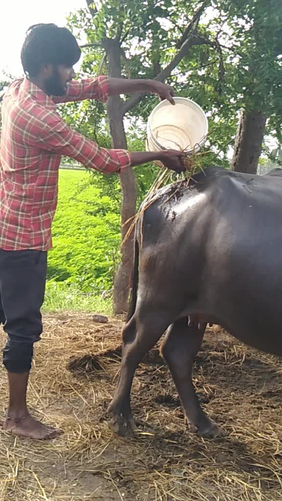 @user. naga babu
