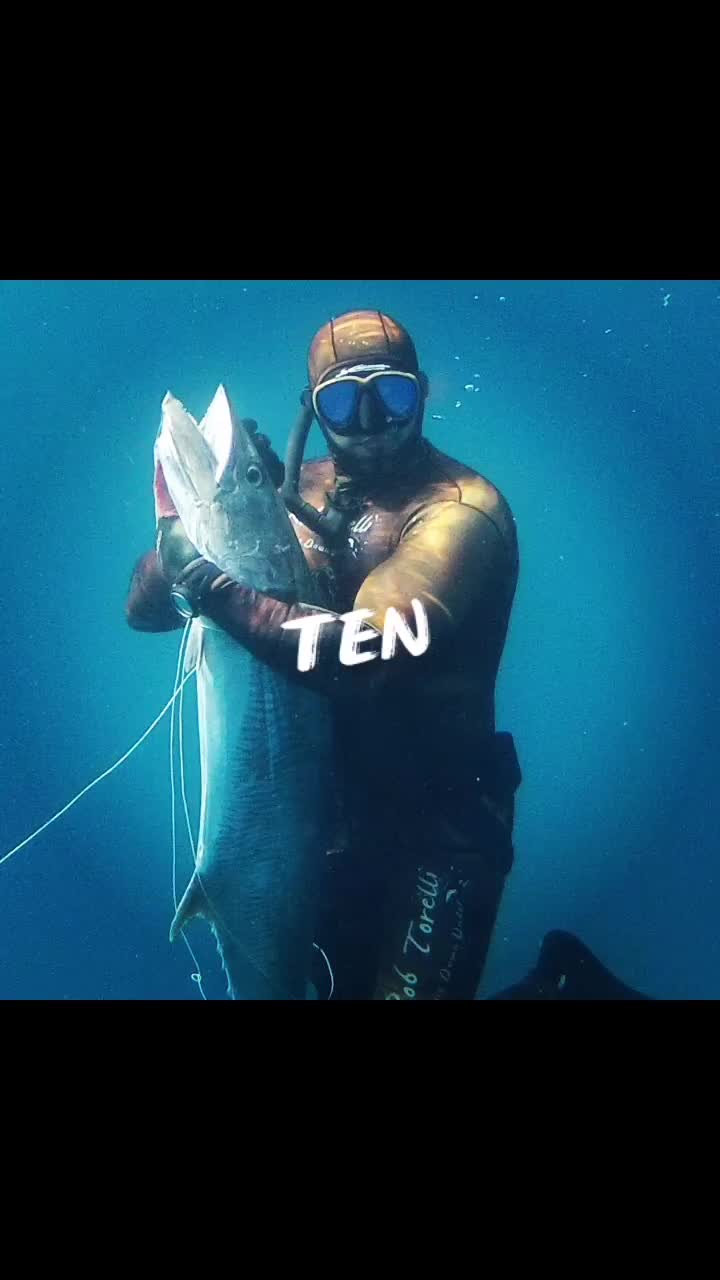 @Sea master
