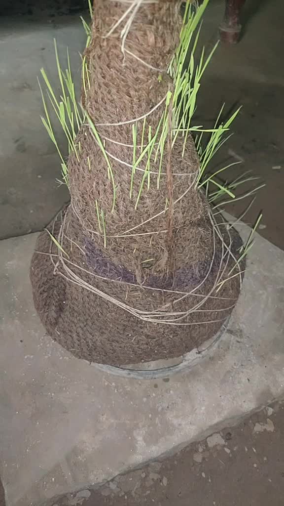@Aman foji ☺☺☺☺
