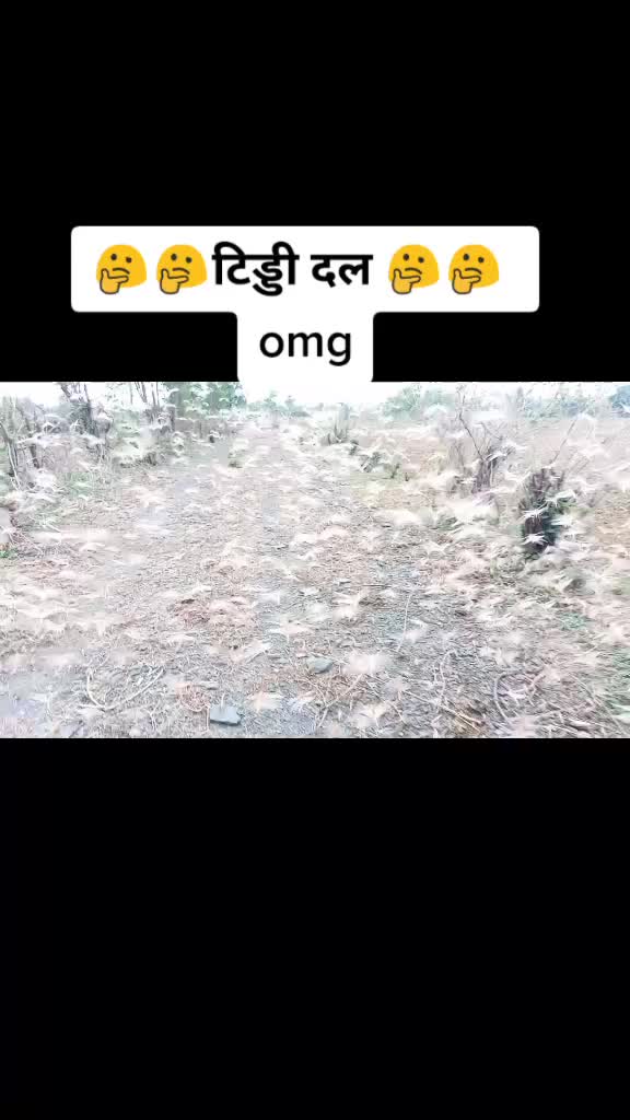 @user934012