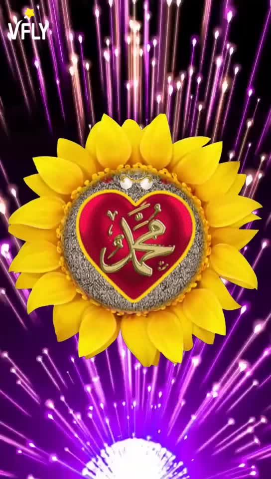@user2951604446781