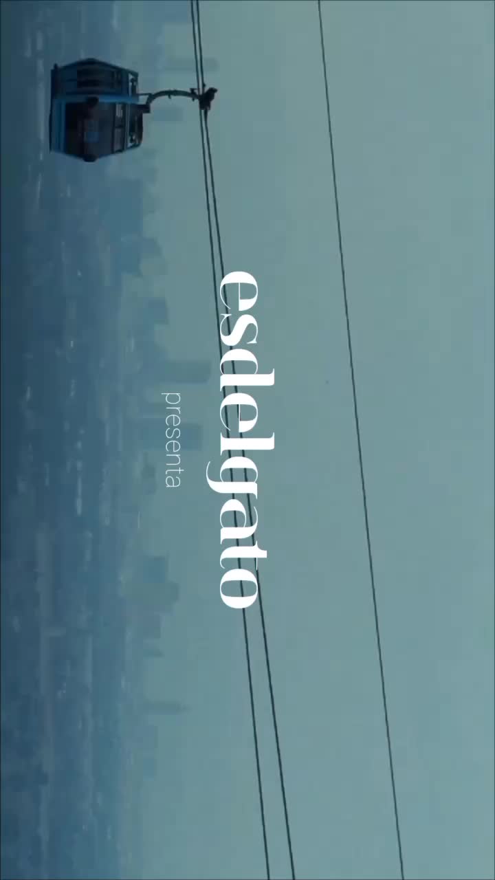 @esdelgato
