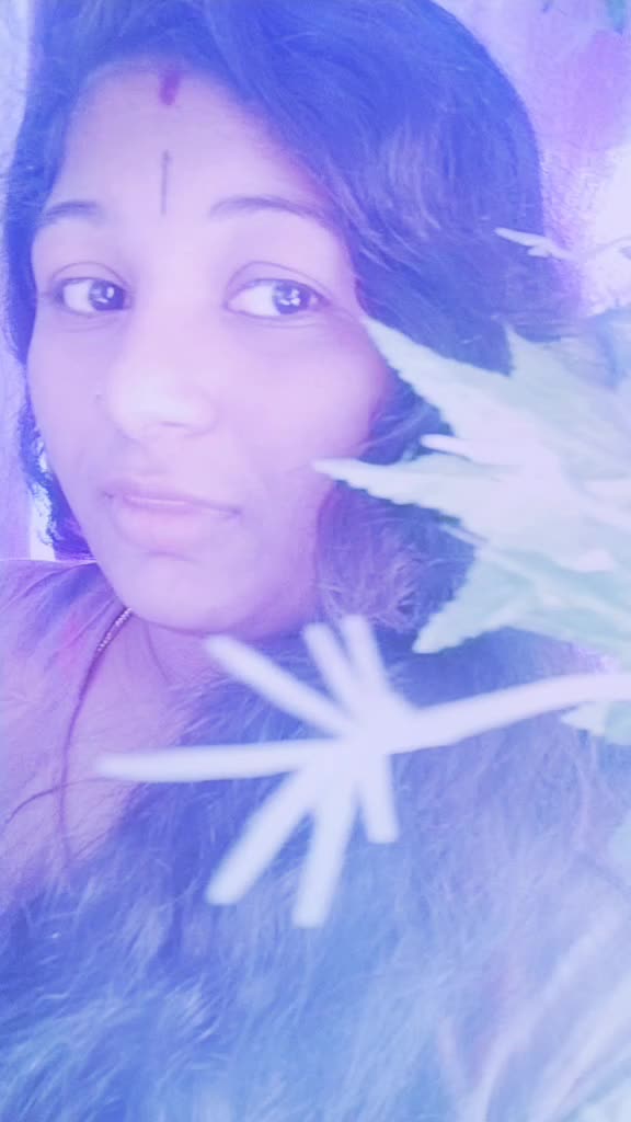 @Sushma Sushma
