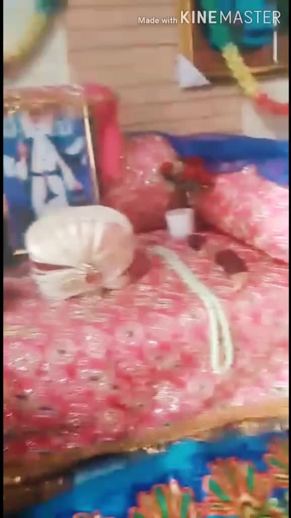 @VishalBrar343