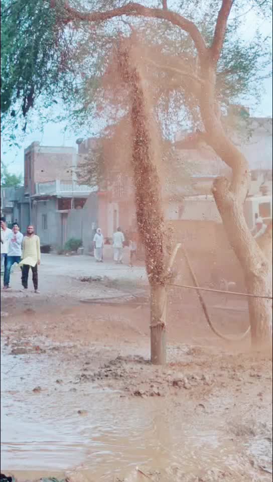 @Guddu
