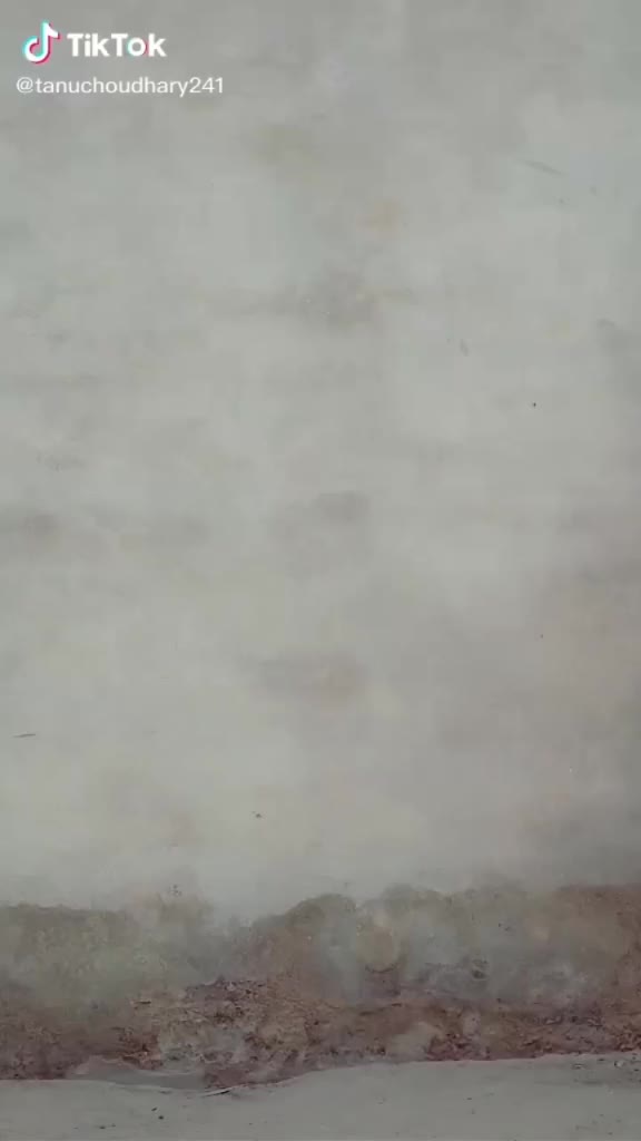 @Rdxlalitsolanki5