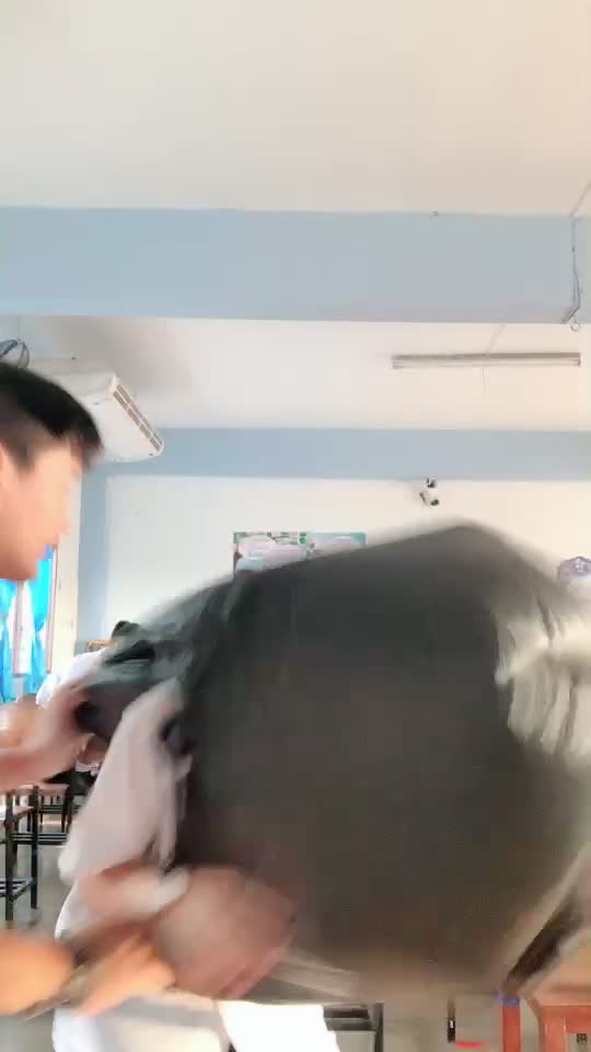 @Vandarls