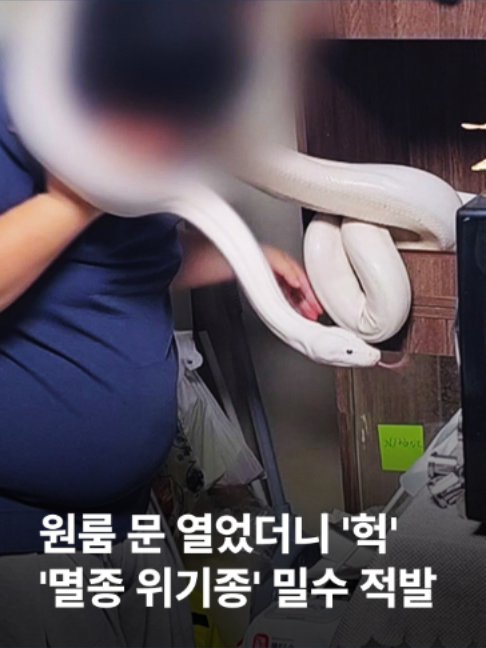 @JTBC News
