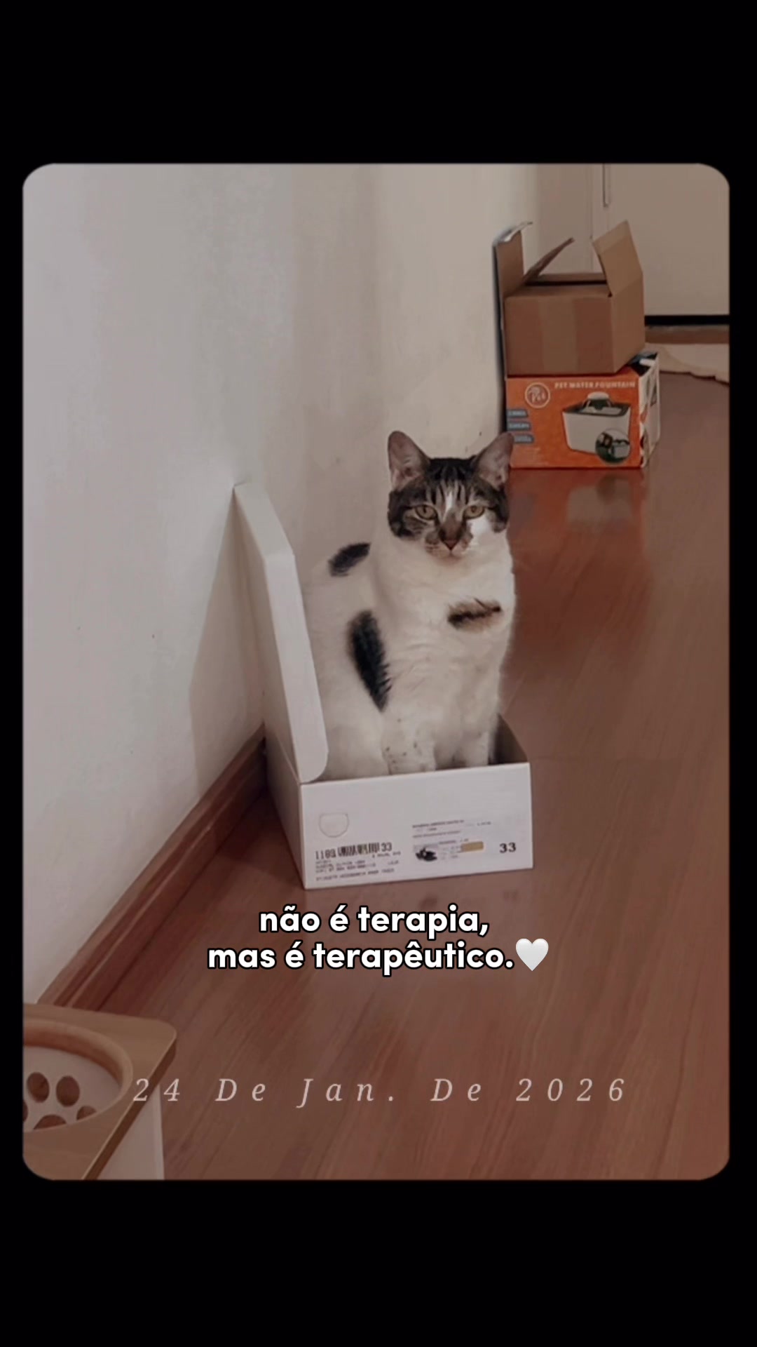 @Lua Maria & Bella Aparecida
