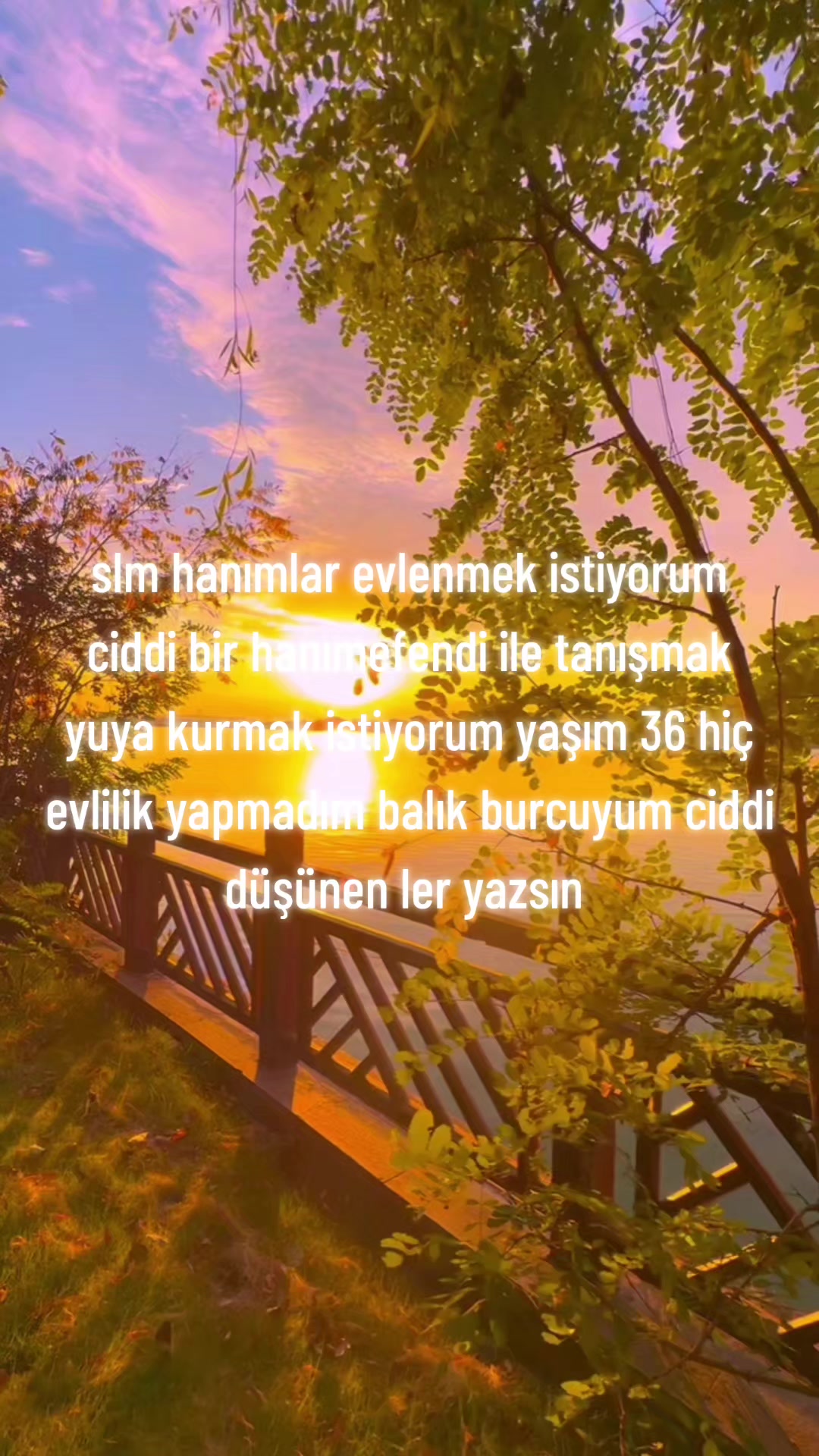 @Mustafa