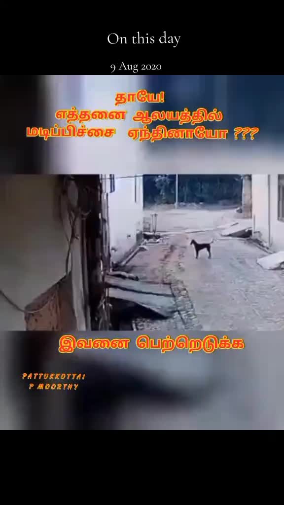 @Pattukkottai P Moort