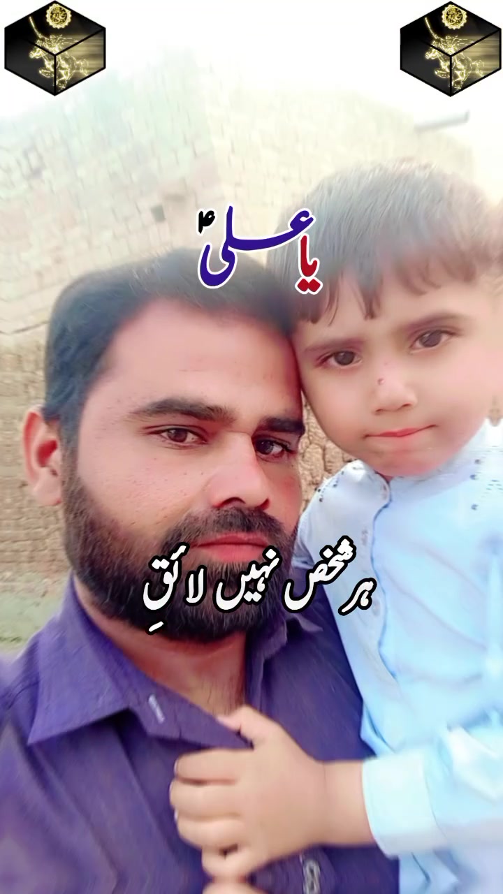 @rehmat