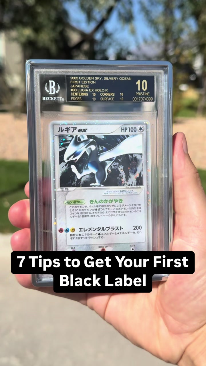 @Marcuccicollects