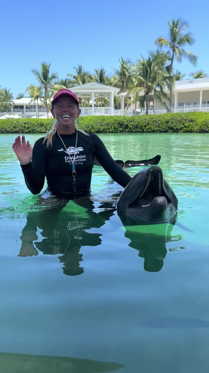 @dolphinconnection