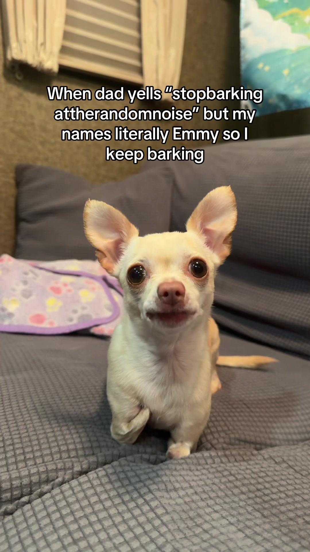 @Gio + Emmy