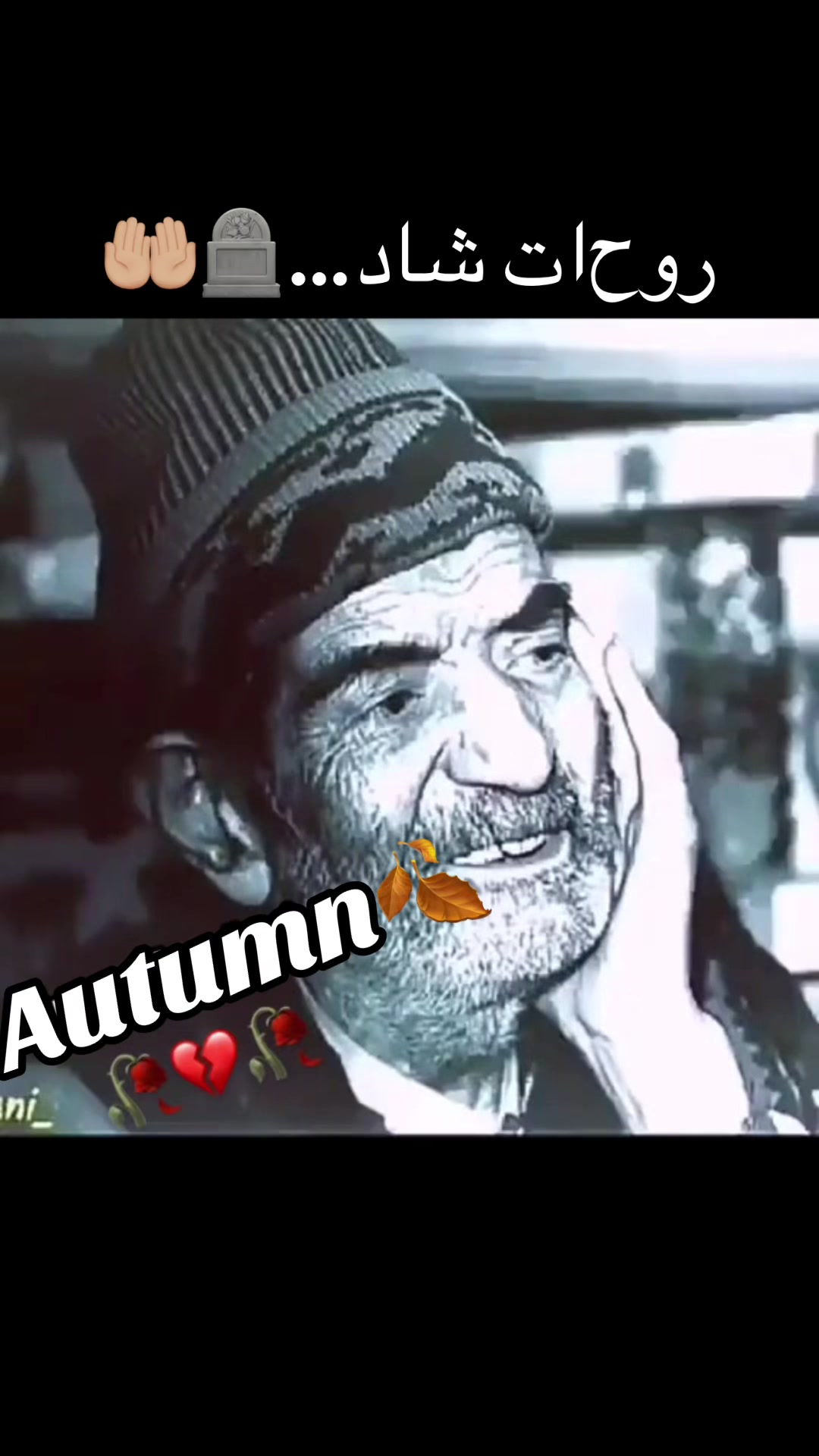 @autumn_1207
