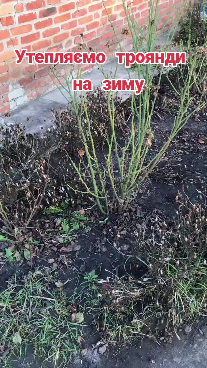@BaraholkaUKRAINE