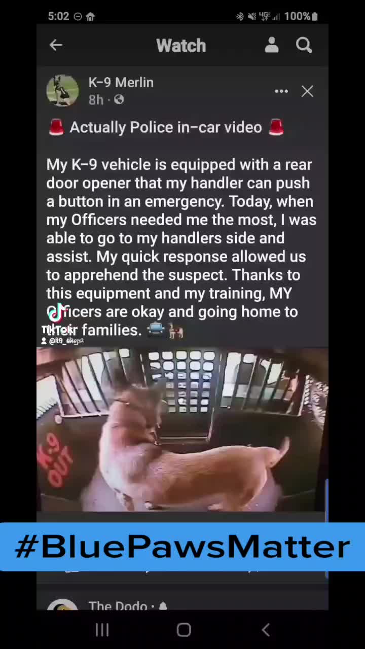 @BluePawsMatter