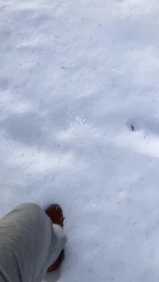 @Kletzepet