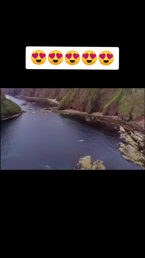 @user98104350505